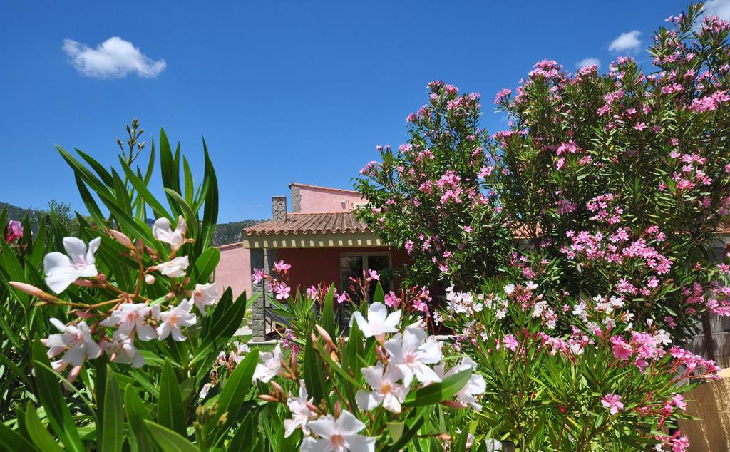 וילסימיוס Affittacamere B&B La Villa Dei Graniti מראה חיצוני תמונה