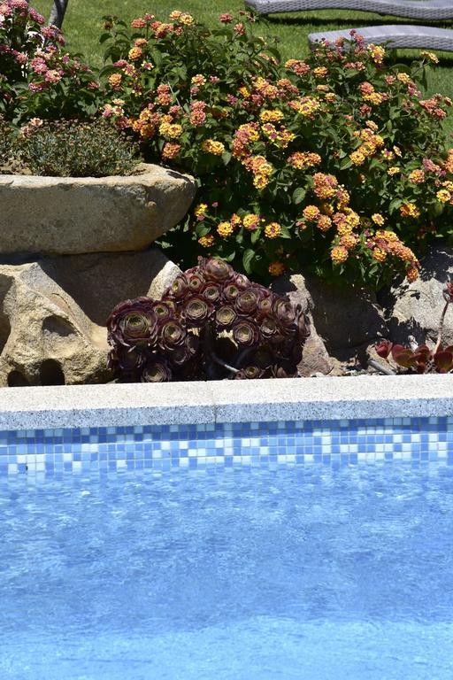 וילסימיוס Affittacamere B&B La Villa Dei Graniti מראה חיצוני תמונה